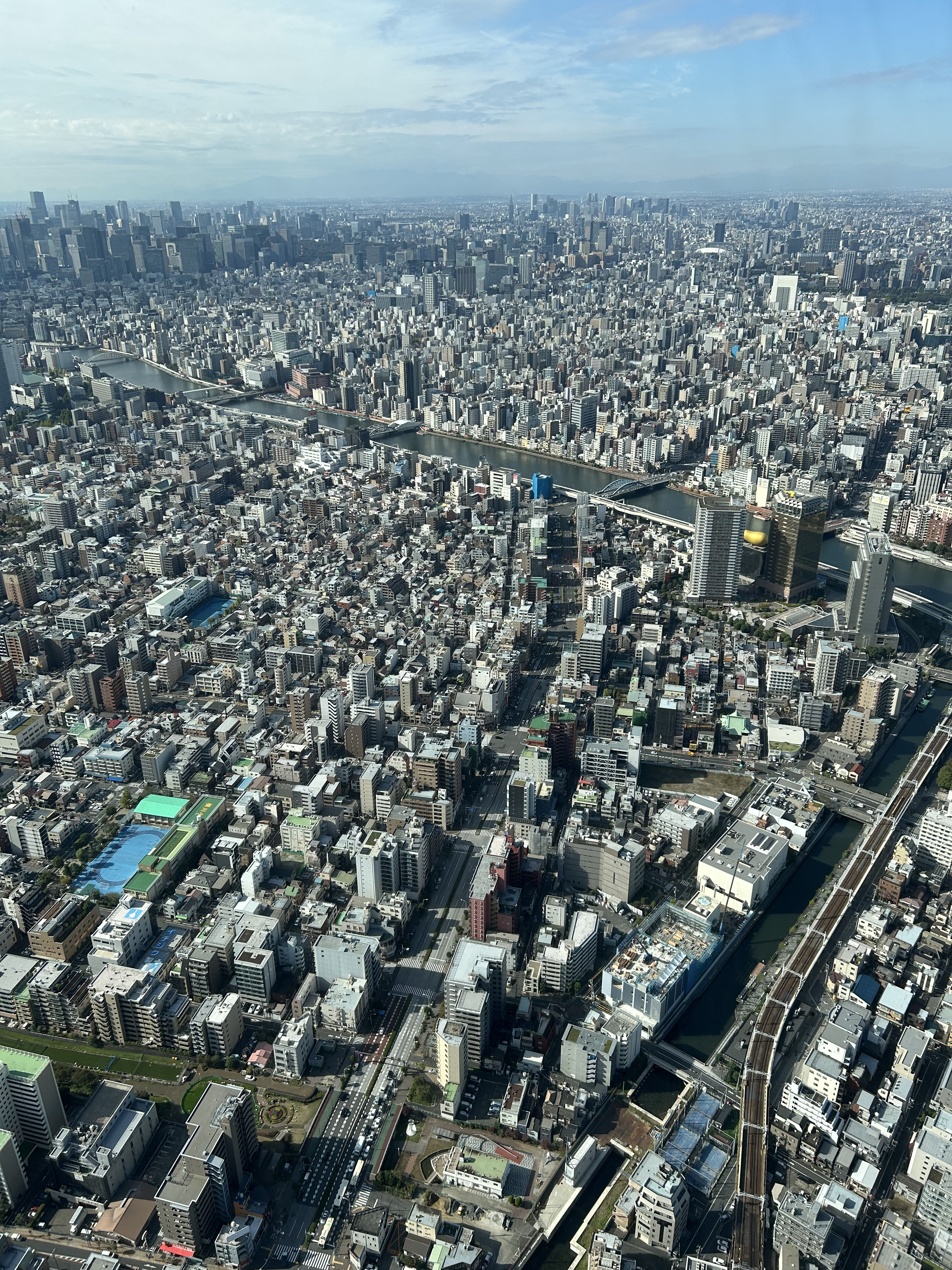 Tokyo from above